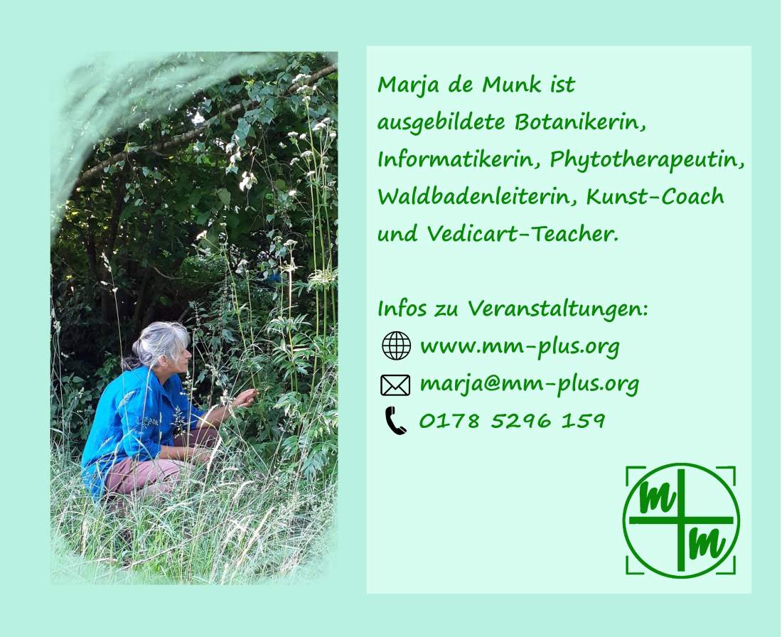 » Image Kontakt Data «